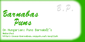 barnabas puns business card
